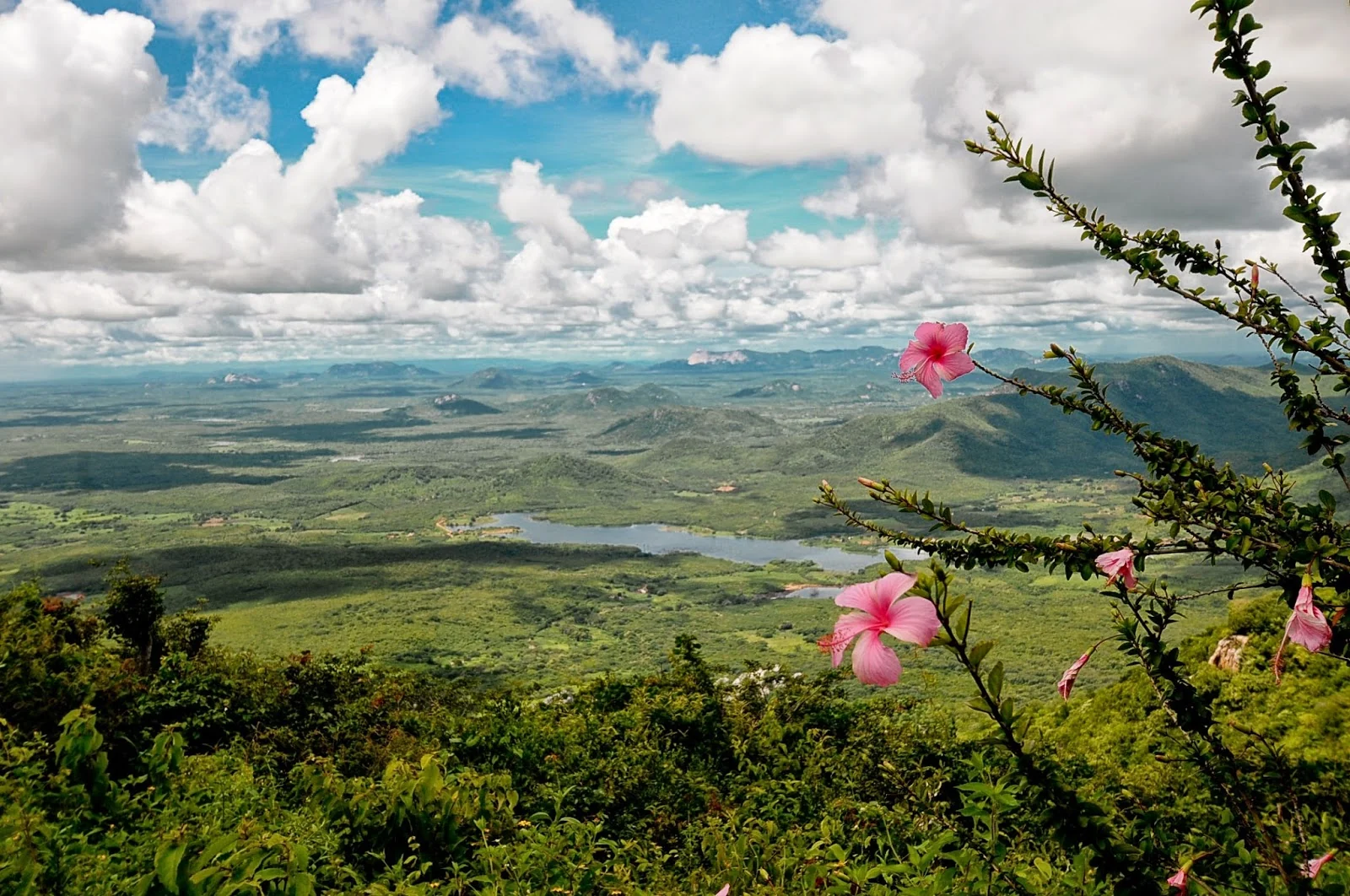 Vista panorâmica das serras e da vegetação de Martins, Rio Grande do Norte, com flores rosadas em primeiro plano